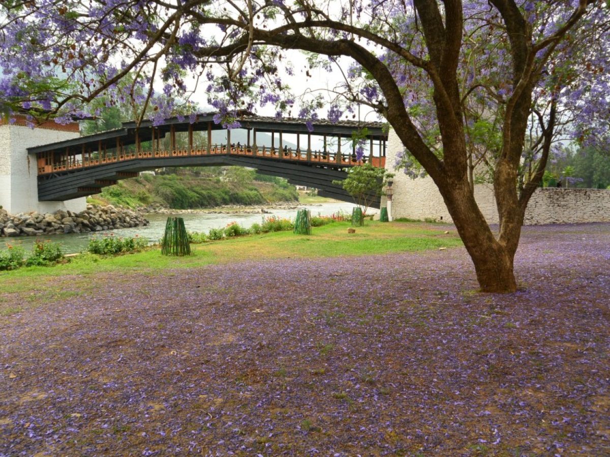 Bhutan travel agency