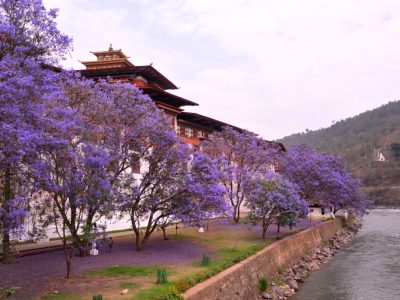 All About Bhutan