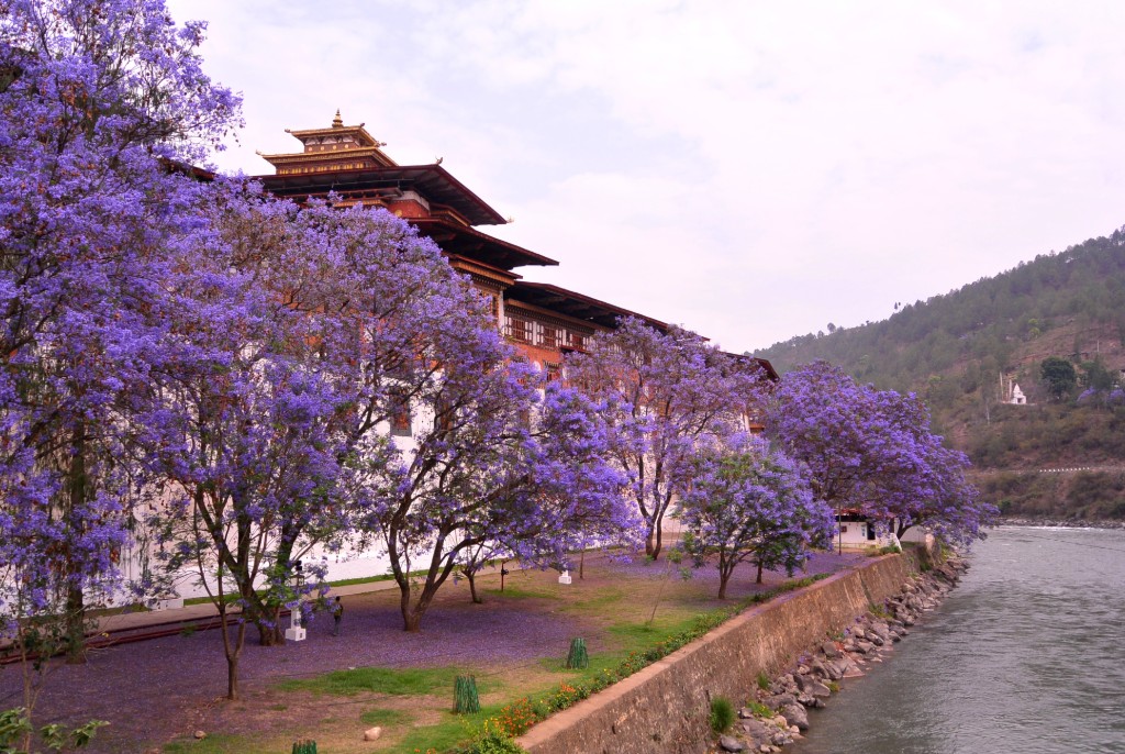 All About Bhutan