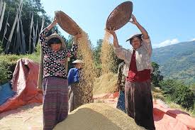 Radhi village - attractions in Trashigang 2025