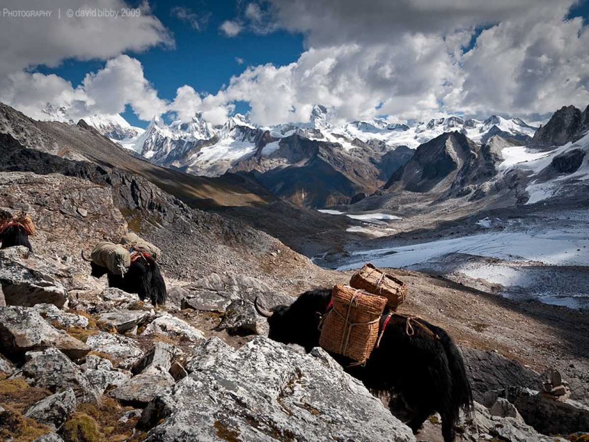 Dagala trek 2026