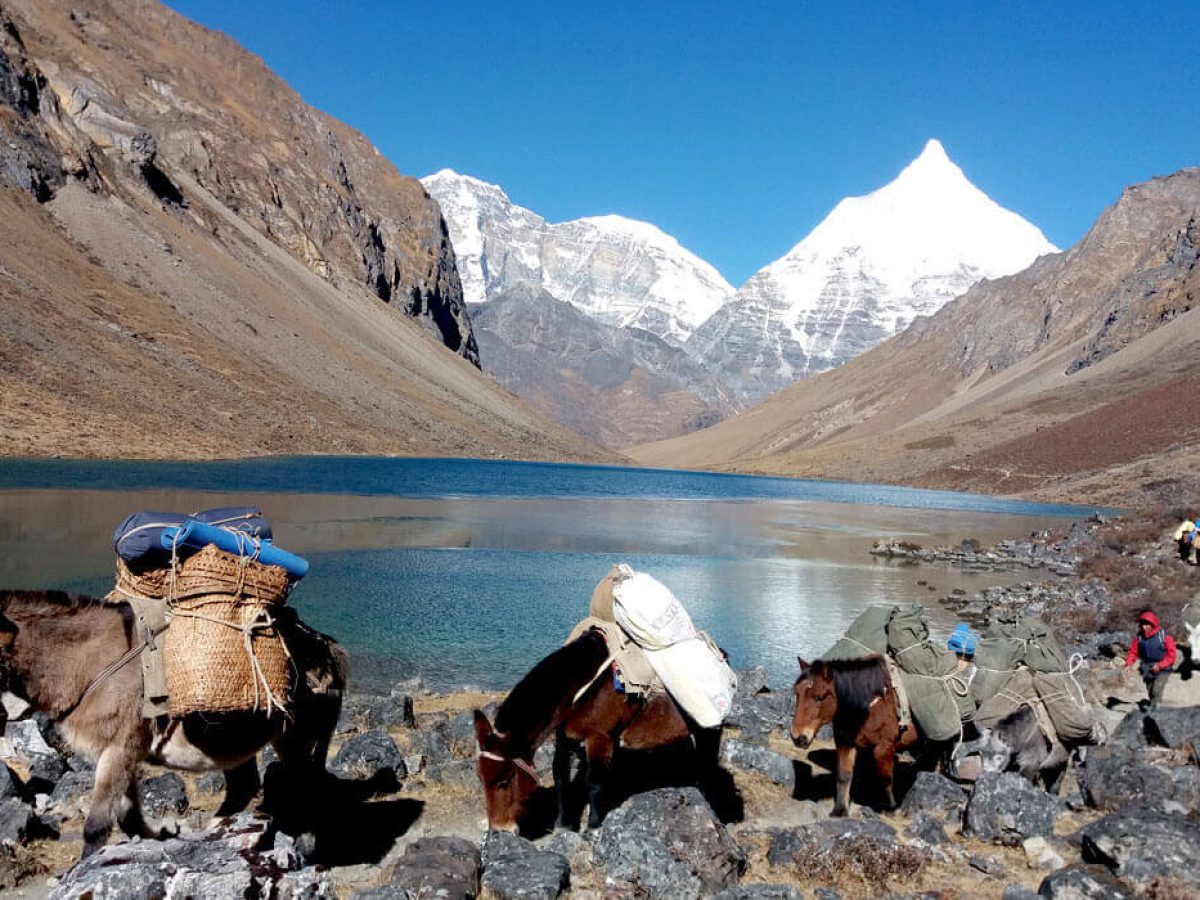 Jomolhari Trek 2026