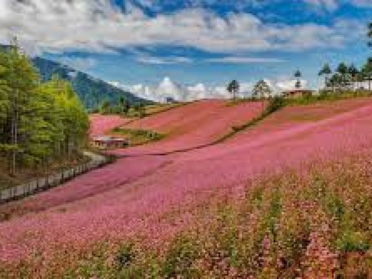 Tang - 10 days Bhutan tour 2026